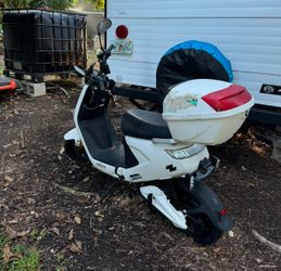 Zebra Electric Scooter