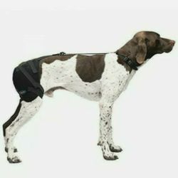 Caldera Hot & Cold Hip Pet Therapy Wrap w/ Therapy Gel Medium PET203 