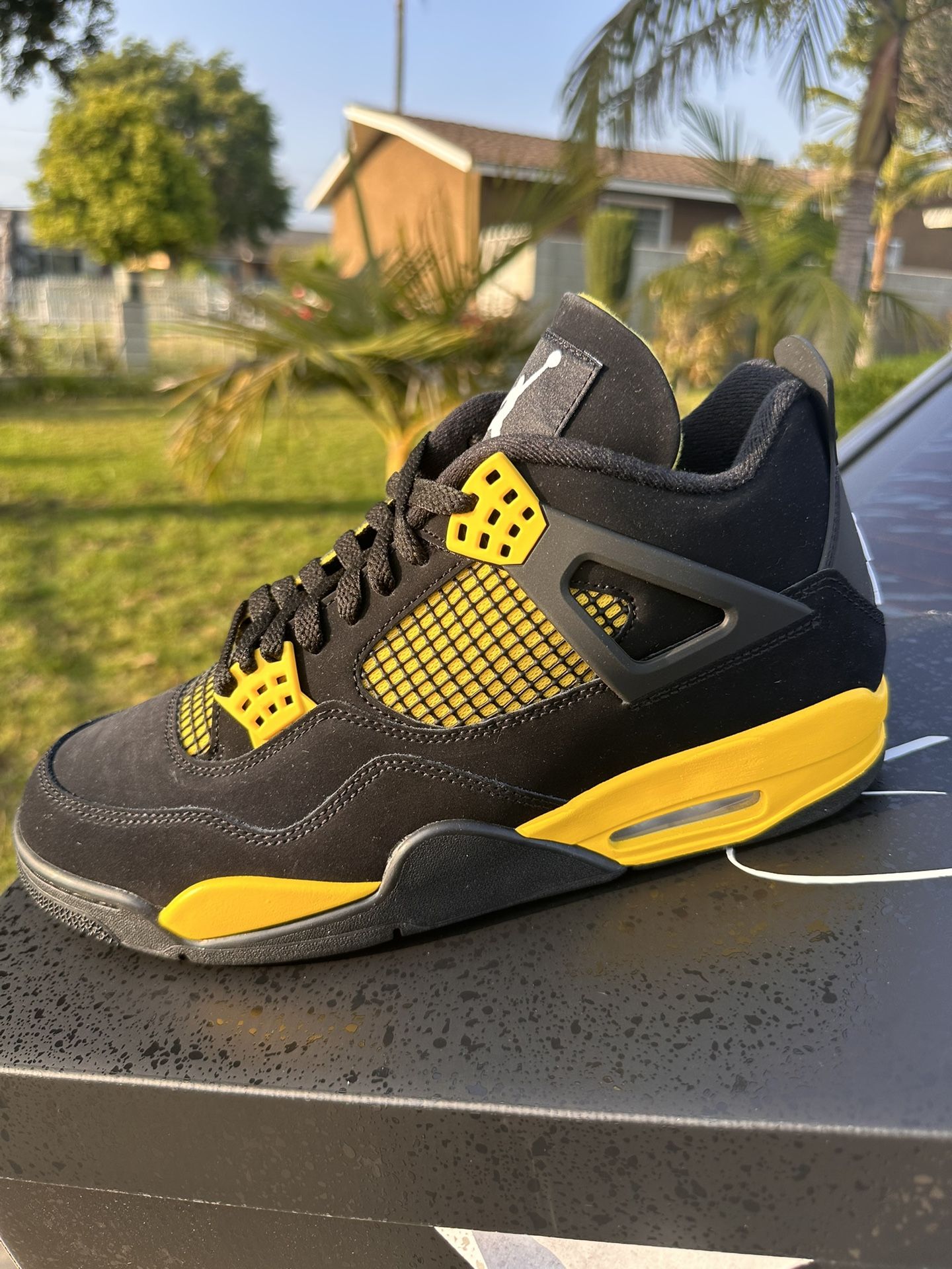 Air Jordan 4 Retro Thunder  (10)