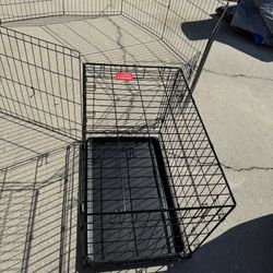 Dog Crate 