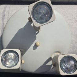 Vintage Celling Light Fixture