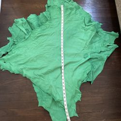 5 Leather Hides 