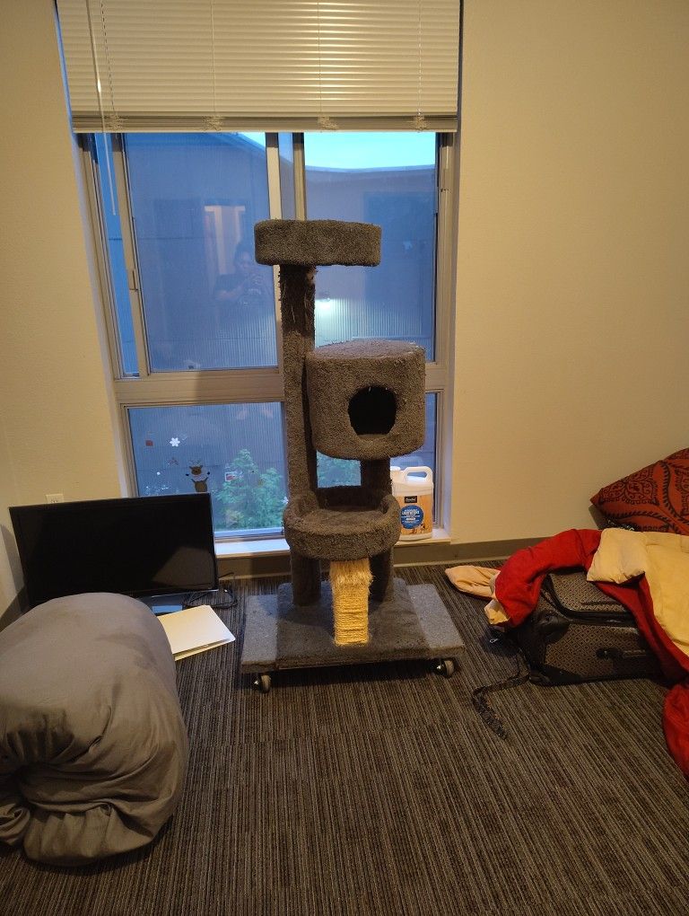 Cat House