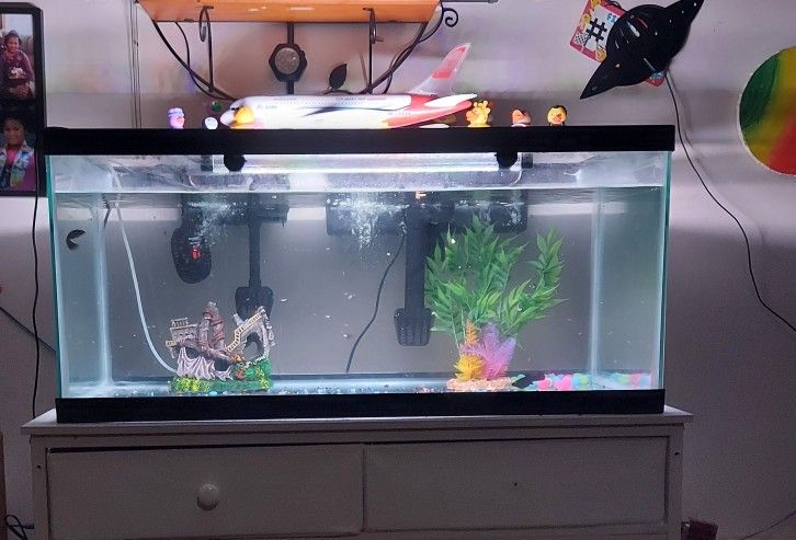 40  Gallon Fish Tank  2 Filters 20 and 60 Gallon  And Stand Light And Digital Heater 
