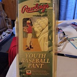 Boys Rawlings  Youth Baseball Pant Size Small-$8.00