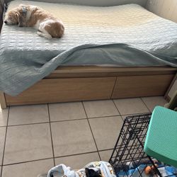 Bed