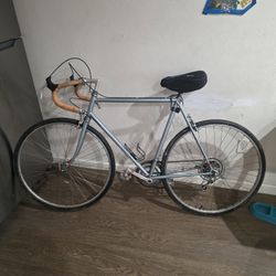 1980's Vinyage Fuji Bicycle Everything Works