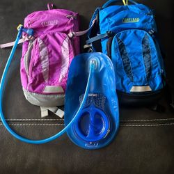 Mini Camelback 