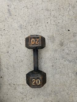 Single 20lb Dumbbell Weight 