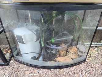 36 gallon tank with the full set up
