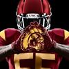 BullbearSCfan