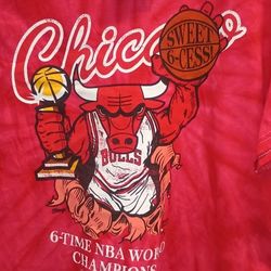 Chicago Bulls T-shirt Size L Color Red 