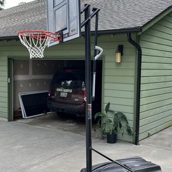 Lifetime Portable Basketball Hoop