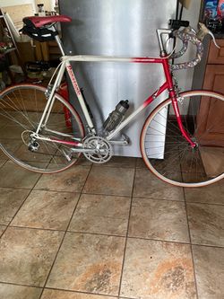 Men Red and white Panasonic road bike