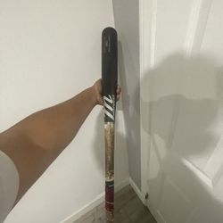 Baseball Bat 