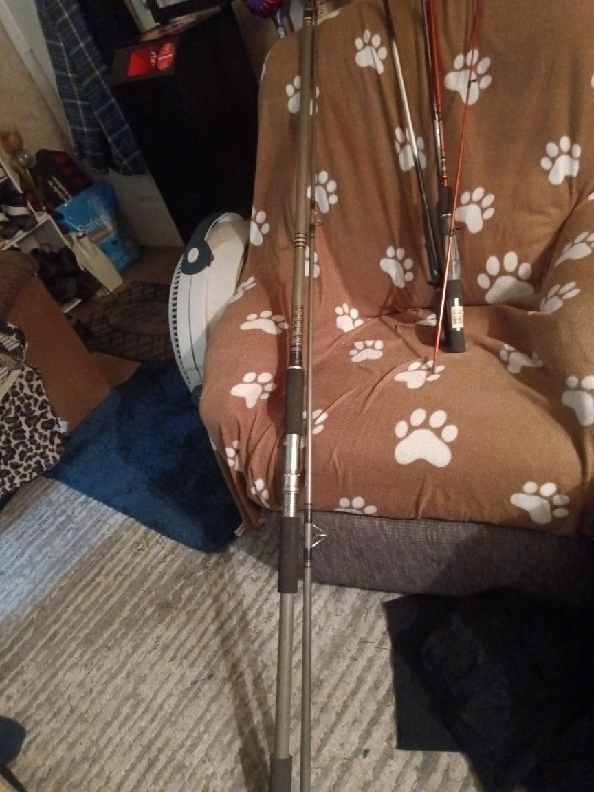 Daiwa Regal Silver 12 Foot Pole.