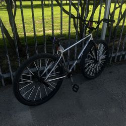 29 Inch bike Stolen Brand