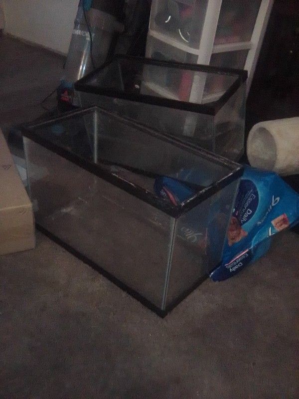 10 Gallon Tanks For Sale
