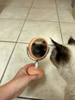Small 4” Mirror 👁️👁️