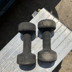 Pro spirit 12lb Dumbbell Set