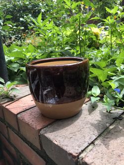 Mid-small ceramic plant pot