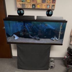 55 Gallon Fish Tank