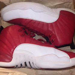 Jordan 12 Size 12