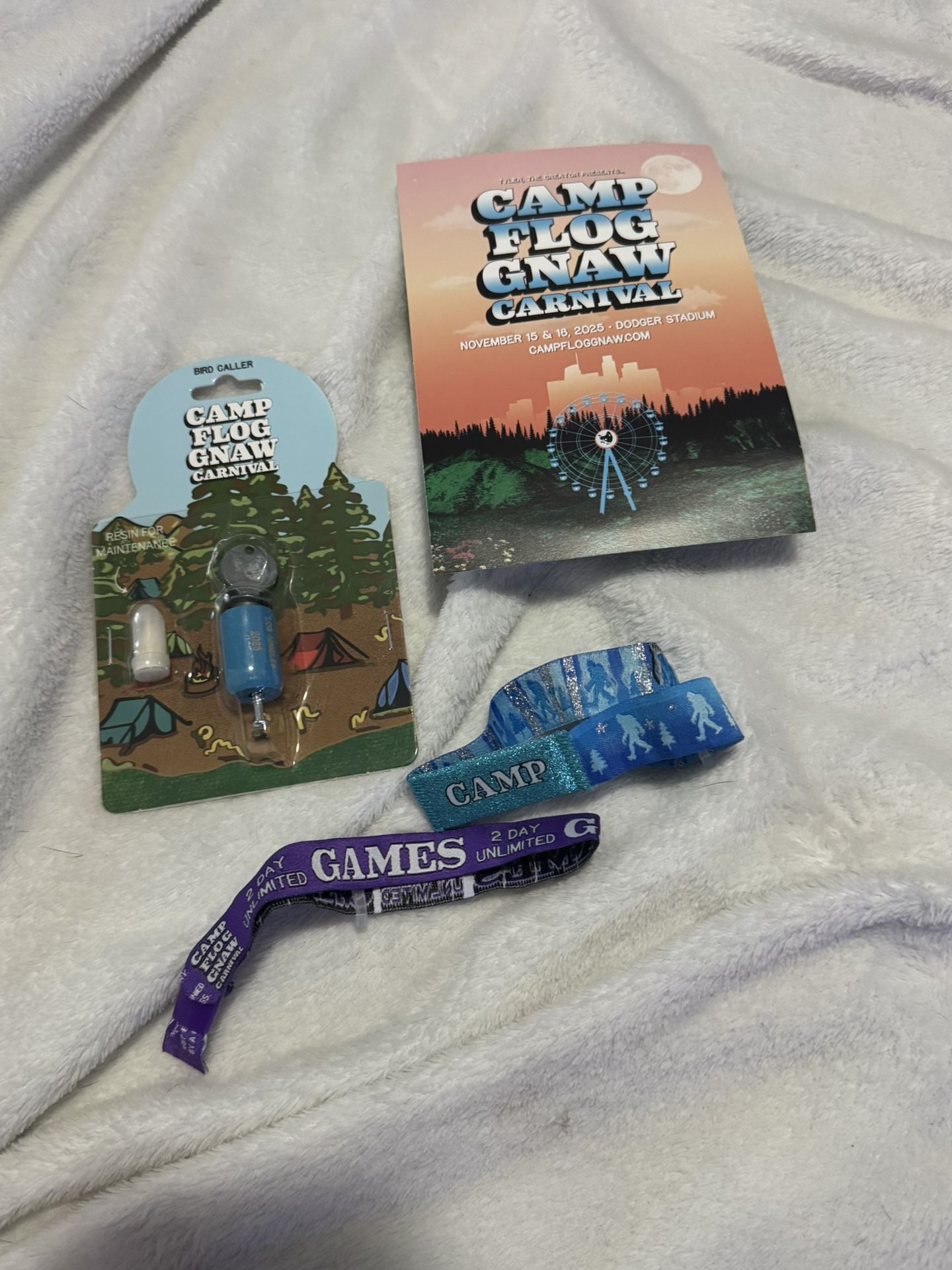 Camp Floggnaw GA ticket