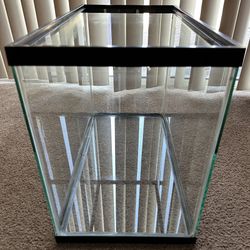 Beginner 20 Gallon Aquarium 