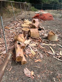 Firewood, eucalyptus free