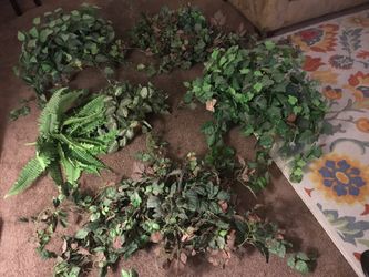 Large Artificial Plants $25 Small ones $10.00