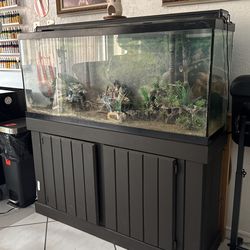 50 Gallon Fish Tank  With Stand 
