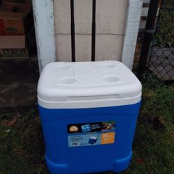 Igloo Ice Cube Cooler