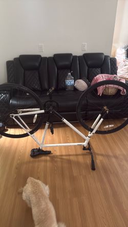 Fixie
