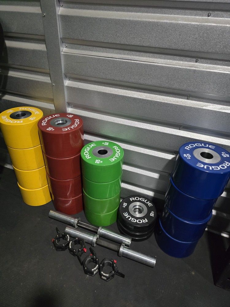 Weight Rogue Dumbbell Bumpers