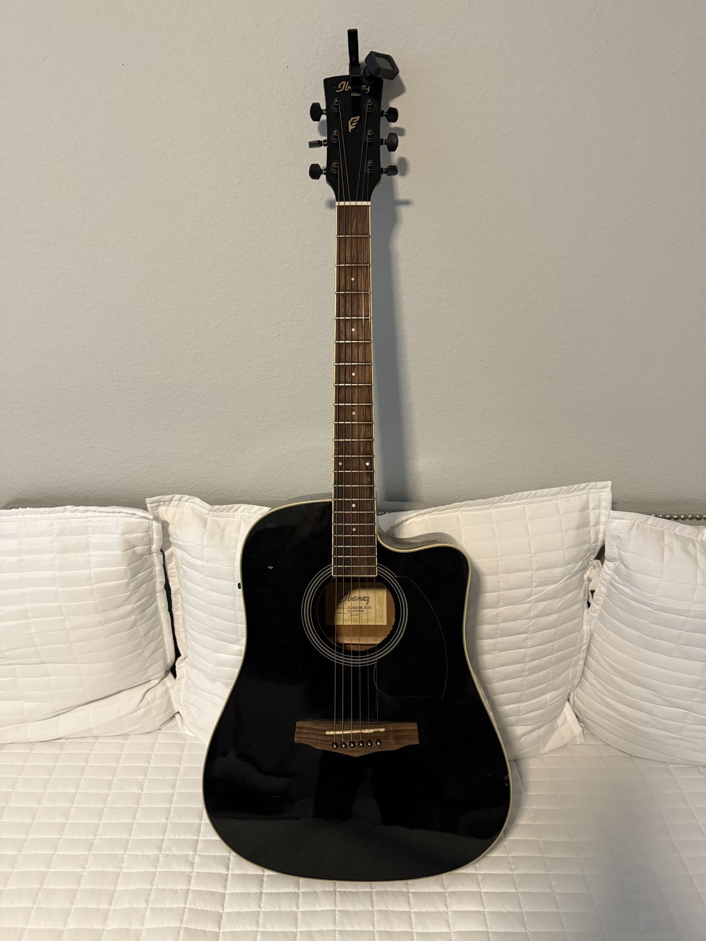 Ibanez Acoustic Hybrid