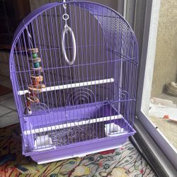Bird Cage