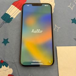 iPhone 13 Pro Max