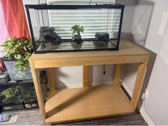Reptile tank and shelf