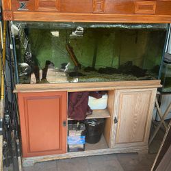 75 Gal Glass Fish Tank