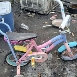 Little Girls Bike With Training Wheels 