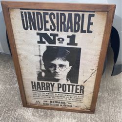 38X26 Harry Potter Undesirable Picture Frame