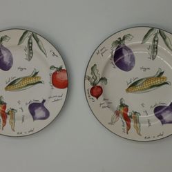 FURIO SALAD PLATES Sue Zipkin GARDEN DELIGHT Sakura Vegetables 8” (2)