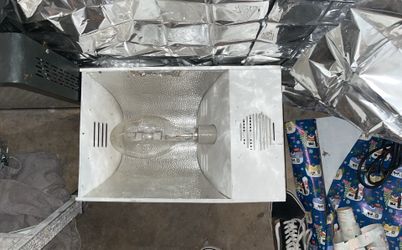 Hydroponic Lights
