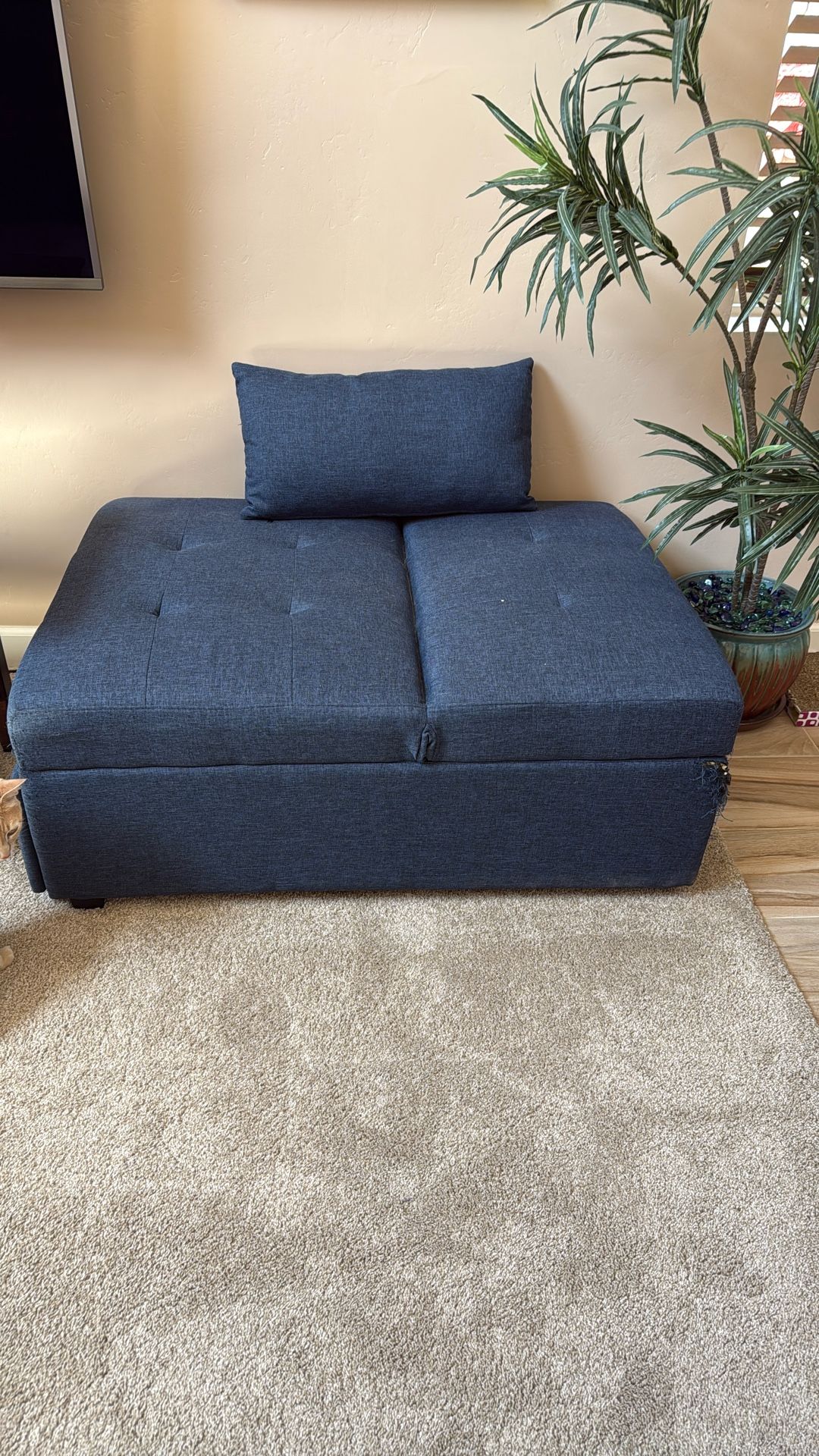 Single Chair/bed