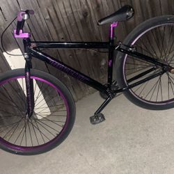 big flyer 29r