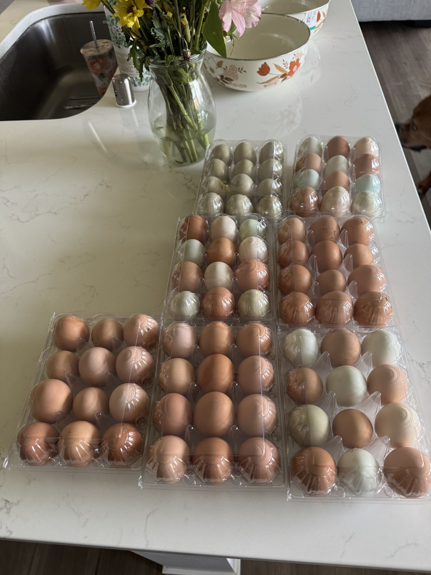 Farm Fresh Eggs