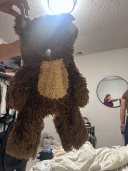 Dog Costume