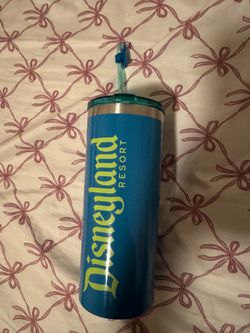 Disneyland Resort Stainless Steel Tumbler