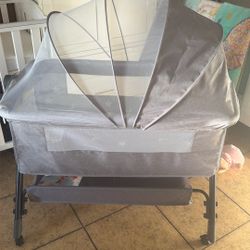 Bonito Moises Nuevo Color Gris 